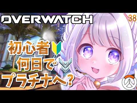 猫羽ころんNekohakoron