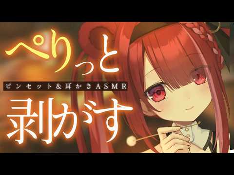 Yuni CH. 切熊ゆに