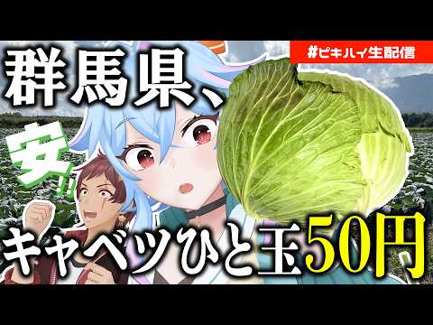 Peaky Hikers - ピーキーハイカーズ
