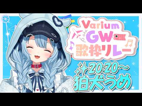 Ume Ch. 狛犬うめ