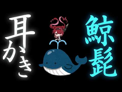 Yuni CH. 切熊ゆに