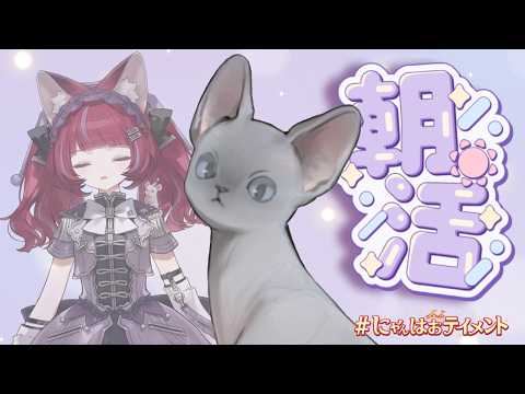 NEFFY【ネフィの楽屋】