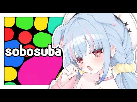 Ume Ch. 狛犬うめ