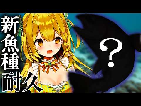 【釣り】新魚種を釣り上げるまで終わらない!!【うおむすめ/黄金マアジ】