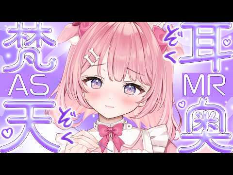 ꒰#ASMR /auriq01 ꒱CH登録5000人チャレンジ中✨セラピードッグによる梵天耳かき💤Binaural/whisper/睡眠導入/耳かき/梵天꒰#もちもちこころ ꒱