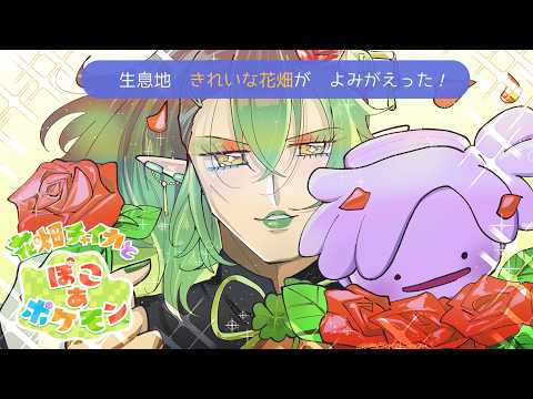 花畑チャイカ