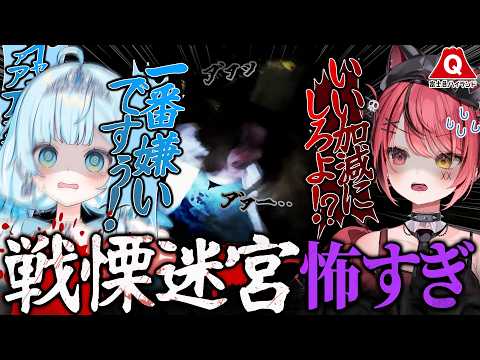 七乃羽すず / Nanoha Suzu Ch. 【すずみあ】