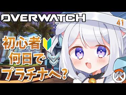 猫羽ころんNekohakoron