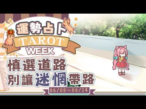 【一周運勢】世界線分歧,一段關係與方向正在悄悄校準【塔羅占卜】【櫻野露】