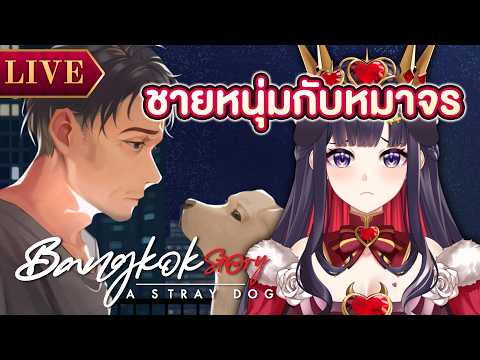 【Bangkok Story: A Stray Dog】องค์หญิงคนจร เซไนท์ก็จร