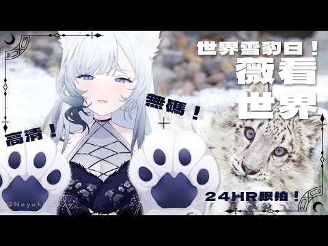 名雪薇薇·ヴィヴィch.