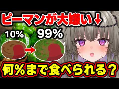 【吐いたら即終了】大嫌いなピーマン、ハンバーグに混ぜたら何%まで食べられる?ギリギリチキンハンバーグ!【Vtuber/冥鳴ひまり】