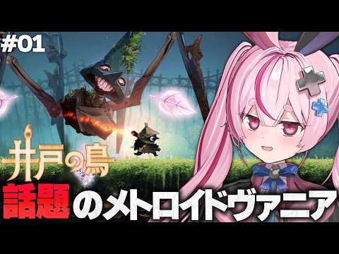 Tomari Mari channel / 兎鞠まりちゃんねる
