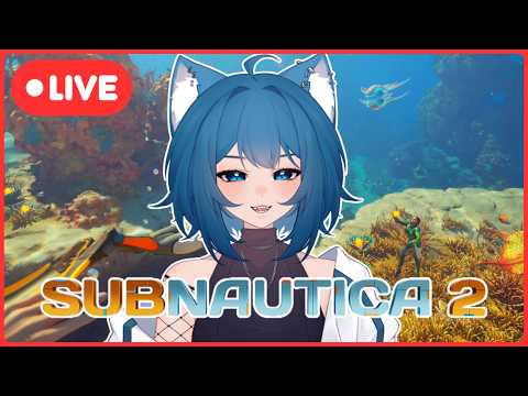 TsunamiCat