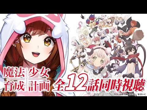 白藤環