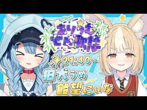 Ume Ch. 狛犬うめ