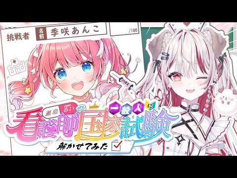瀬島るい / Rui Channel 【ななしいんく】
