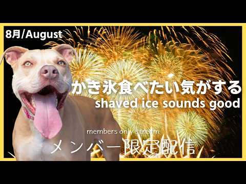 【メン限 members only】まだ今年かき氷食べてない!!!!!夏満喫できてないっ?!【白鹿いおり Phase Connect】