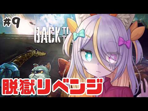 蜂蜜ぷりん / Hachimitsu Purin