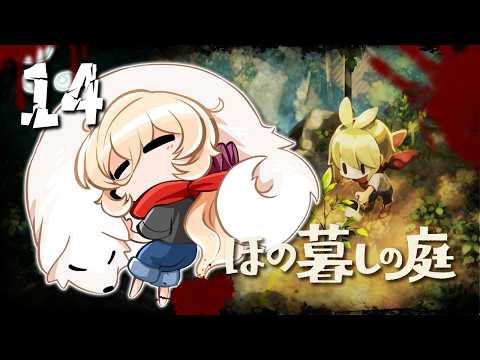 ニュイ・ソシエール //[Nui Sociere]
