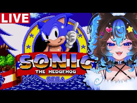DipperDog