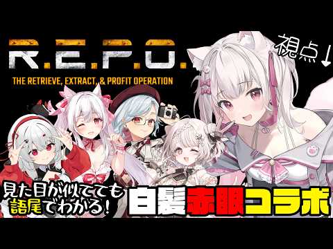 Pico Ch. 倉夢ぴこ 【Phase Connect】