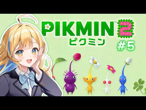 白河しらせ / SHIRASE SHIRAKAWA