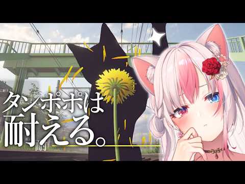 Aria Ch. 黒桐アリア