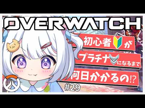 猫羽ころんNekohakoron
