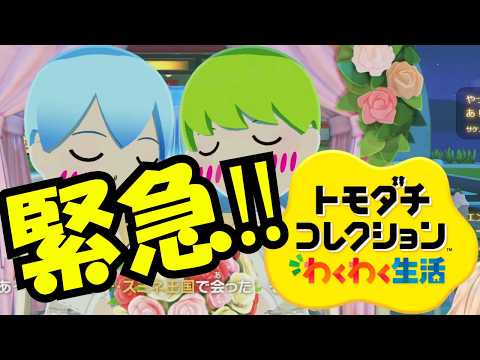 澄音緒まる-sumineomaru-