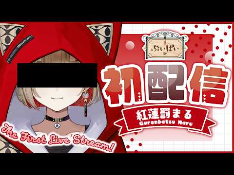 鬼頭みさき / Kito Misaki