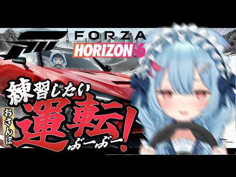 Ume Ch. 狛犬うめ