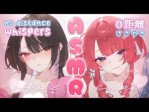 Caerula Aki Ch.