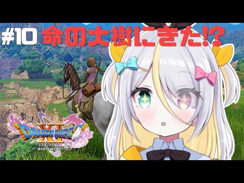蜂蜜ぷりん / Hachimitsu Purin