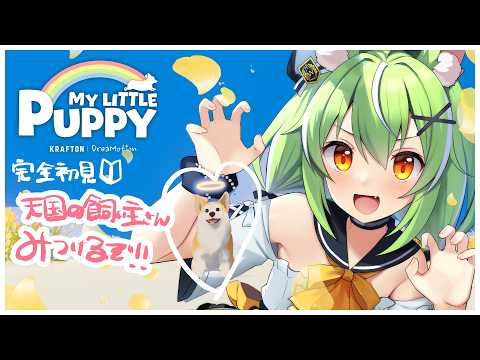 ミラ・ルプス Mira Ch.