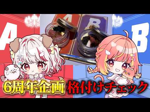飛良ひかり / Hikari Channel【ななしいんく】