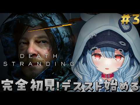 Ume Ch. 狛犬うめ