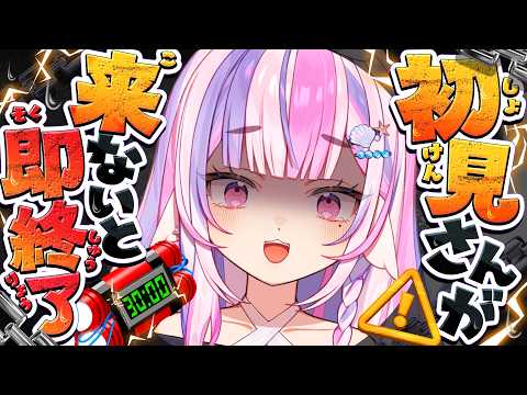 ごまふろこちゃ / Gomafu Rokocha