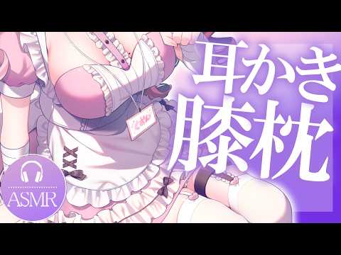 Kuon ch.桜神くおん