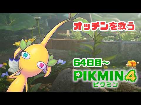 【PIKUMIN4】オッチンだいじょぶだよ!64日目から!【蜂蜜ぷりん/ぶいぱい】