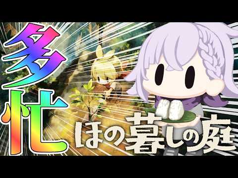 カルロ・ピノ