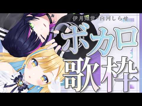 伊月知世 / CHISE ITSUKI