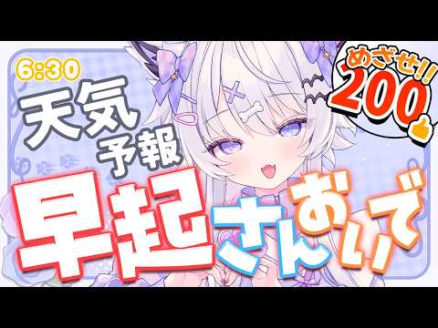 Uru Ch.羽瑠流ウル
