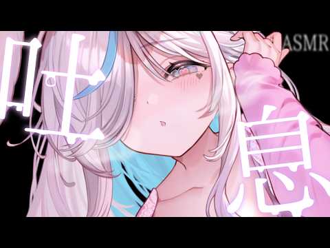 イル_フローラ