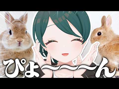 【 雑談 】語尾ぴょん、開幕――【 #澄LIVE 】