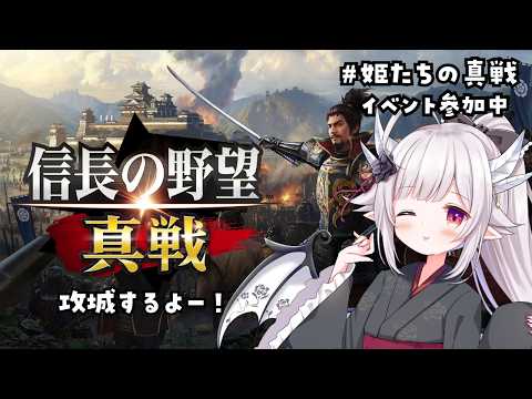 Amuru Ch. 花冠あむる