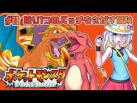 蜂蜜ぷりん / Hachimitsu Purin