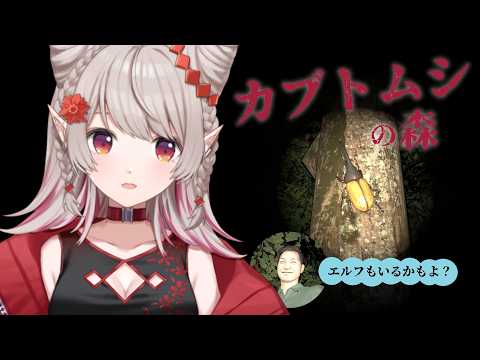 【 カブトムシの森 】エルフの森を脱け出して【にじさんじ/える】