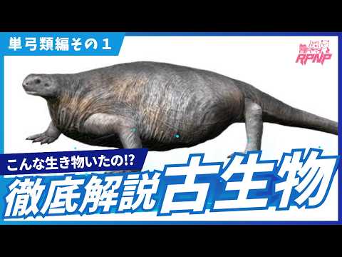 【古生物学】RPNP古生物学ニュース「哺乳類の進化はここから始まった!単弓類編その1」#恐竜 #化石 #解説