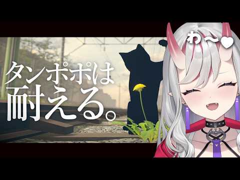 Shuri Ch. 紅愛しゅり